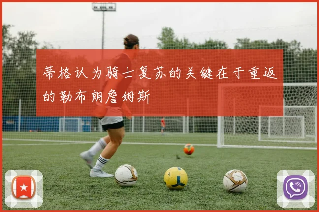 蒂格认为骑士复苏的关键在于重返的勒布朗詹姆斯
