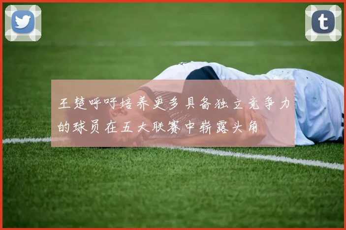 王楚呼吁培养更多具备独立竞争力的球员在五大联赛中崭露头角