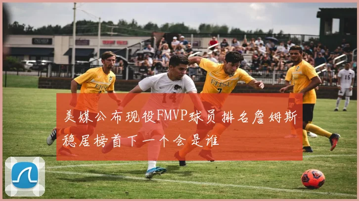 美媒公布现役FMVP球员排名詹姆斯稳居榜首下一个会是谁